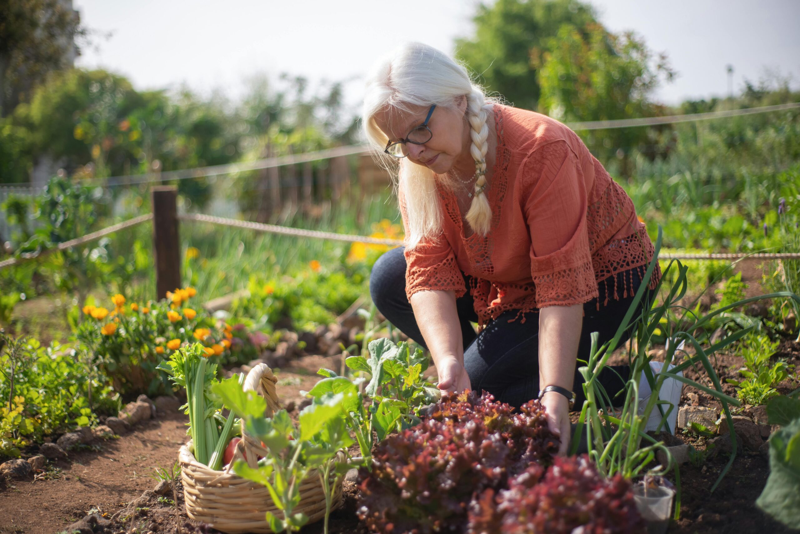 How To Build A Vegetable Garden?